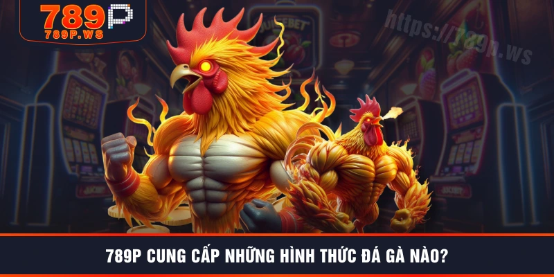789P cung cấp những hình thức đá gà nào?