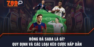 Bóng Đá SABA Là Gì? Quy Định Và Các Loại Kèo Cược Hấp Dẫn