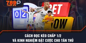 Cách Đọc Kèo Chấp 1/2 Và Kinh Nghiệm Đặt Cược Cho Tân Thủ
