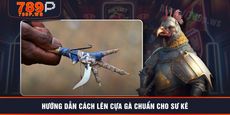 Hướng dẫn cách lên cựa gà chuẩn cho sư kê
