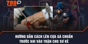 Hướng Dẫn Cách Lên Cựa Gà Chuẩn Trước Khi Vào Trận Cho Sư Kê