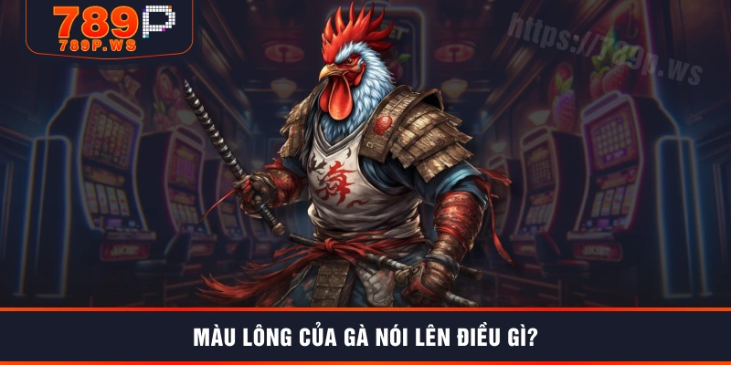 Màu lông của gà nói lên điều gì?