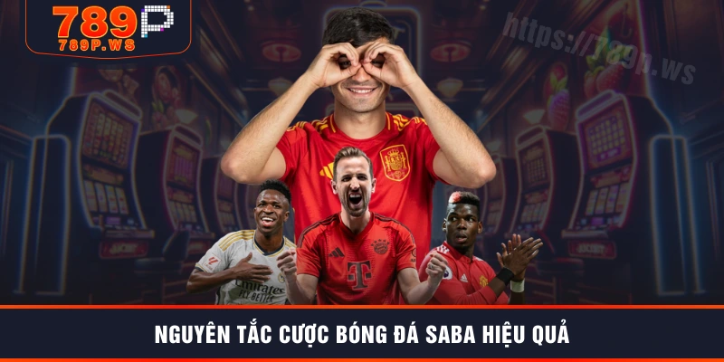 Nguyên tắc cược Bóng đá SABA hiệu quả