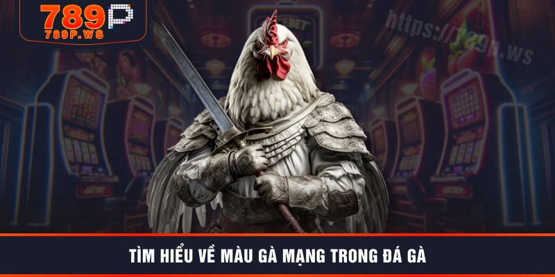 Tìm hiểu về màu gà mạng trong đá gà