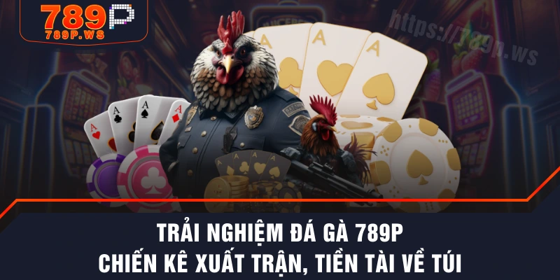 Trải Nghiệm Đá Gà 789P - Chiến Kê Xuất Trận, Tiền Tài Về Túi