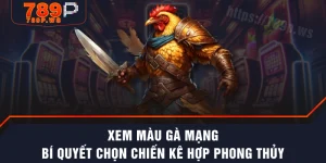 Xem Màu Gà Mạng - Bí Quyết Chọn Chiến Kê Hợp Phong Thủy